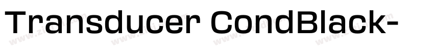Transducer CondBlack字体转换
